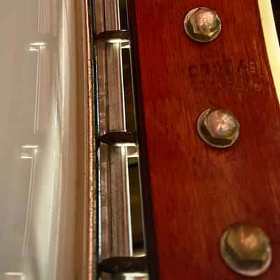 Washburn Banjo Mandolin Maple Circa 1930 image 10