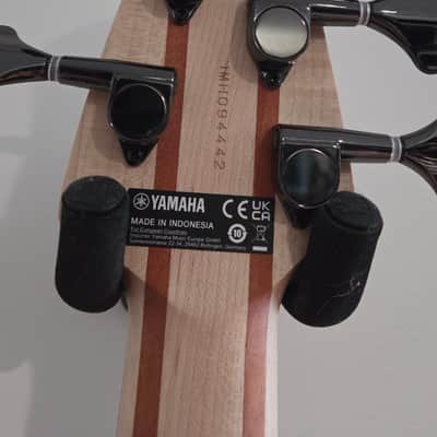 Yamaha TRBX305 5-String - Mist Green image 8