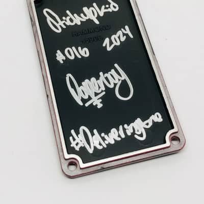 Paperboy Pedals Germanium Stickup Kid point to point image 11