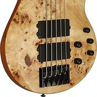 Michael Kelly Pinnacle 5-String Bass Electric Bass Guitar with Natural Burl Finish image 3