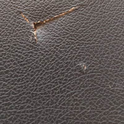 Fender Stratocaster / Telecaster Case Tail Logo image 11