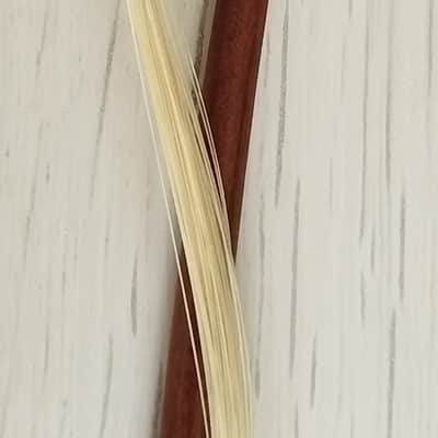 2 bow violin Homa / C. A. Gotz Jr 4/4 violin image 7