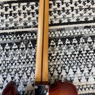 Fender Player Plus Nashville Telecaster with Pau Ferro Fretboard 2023 - Present - Sienna Sunburst image 11