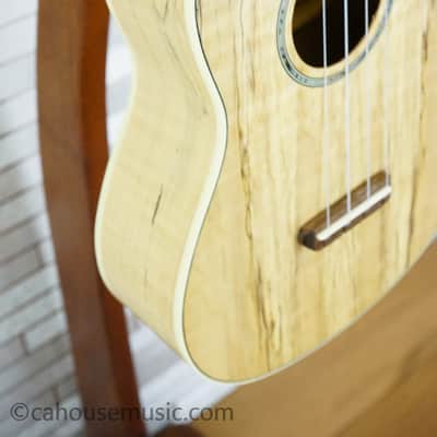 Fender Zuma Exotic Concert Ukulele - Natural Spalted Maple image 7