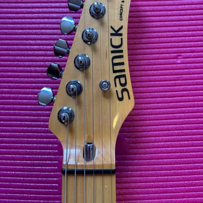 Samick Valley Arts Ray Benson Signature Series Telecaster image 2