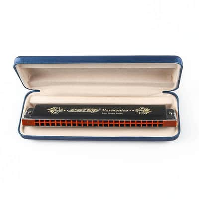 24holes Tremolo Harmonica Key of D image 2