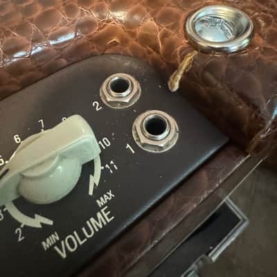 Victoria Golden Melody 2x12 Combo with Roadcase - Reverb & Harmonic Tremolo (Reverberato) image 6