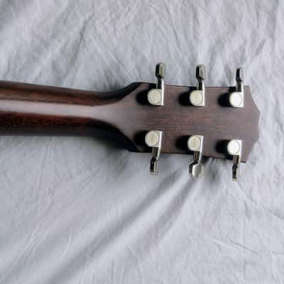 Taylor Builder's Edition 517e WHB 2021 - Wild Honey Burst image 13