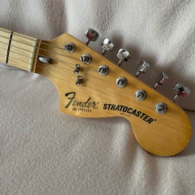 Fender Stratocaster with Maple Fretboard 1978 - 1981 - Black image 14