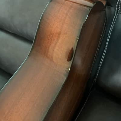 Taylor 517e Grand Pacific 2024 - Torrefied spruce top, Urban bark sides and back with shaded edge burst image 10