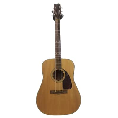 Fender F-210 1982 - 1988