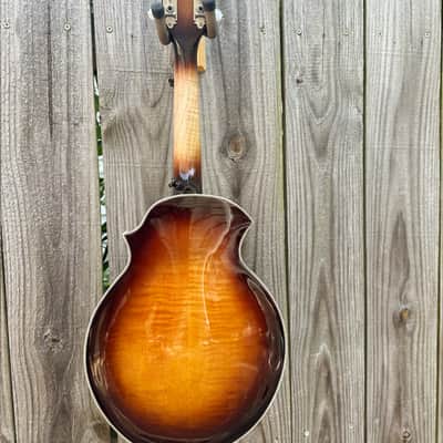 Franzke K-5E - Electric Black top Mandolin 2020 image 4