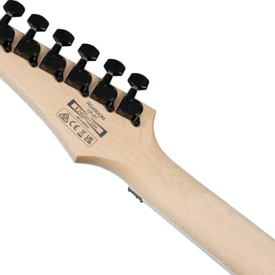 Ibanez RG450QMB Standard Electric Guitar, Jatoba Fingerboard, Transparent Gray Burst image 5