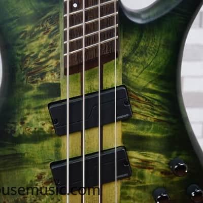 Spector NS Dimension 4 - Haunted Moss image 5