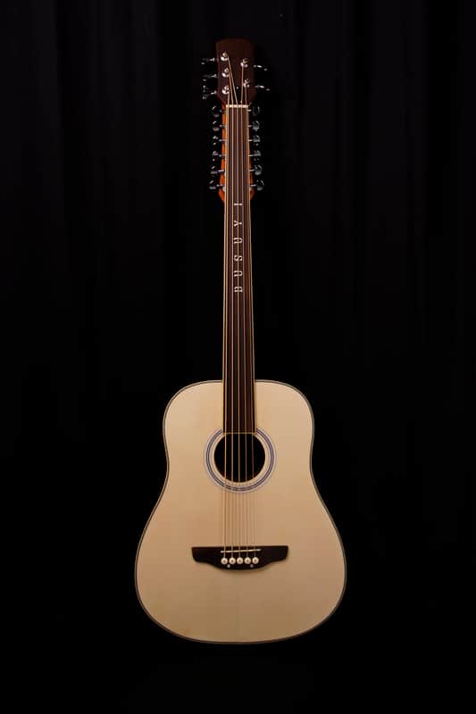 Busuyi Guitar 5 String Fretless Bass /12 String Acoustic /Electric, Double-Neck Guitar image 1