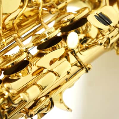 【Special price】 Yanagisawa A-WO10 [AW010] Professional Alto Saxophone image 8
