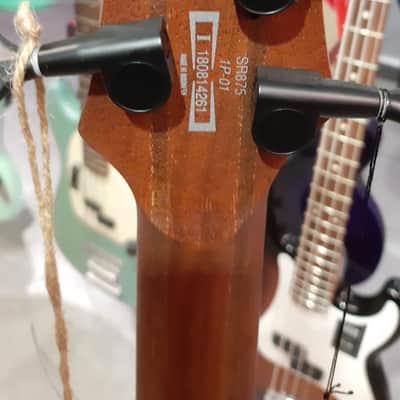 Brand New - Ibanez SR875-ALG SR Autumn Leaf Gradation 5 String Bass (Worldwide Free Shipping) image 3