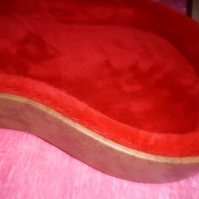 Canadian Made  Les Paul Special New Mint image 6