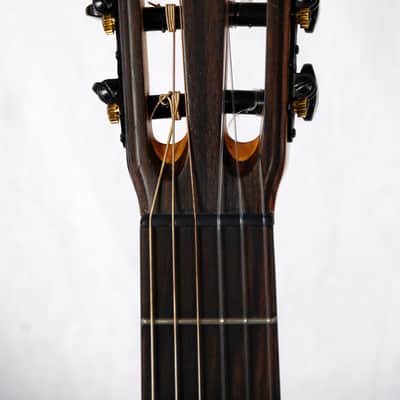 Mérida NG75-CEH Classical / electric cutaway image 5