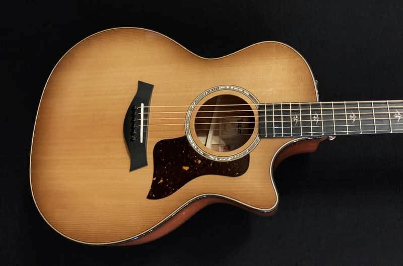 Taylor 514CE - Urban Ironbark