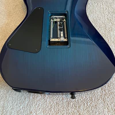 Immagine Hamer (USA) Centaura - Blue Burst - 3
