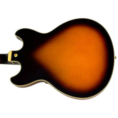 Ibanez Signature John Scofield JSM10 Hollow Body Electric Guitar Vintage Yellow Sunburst B-Stock 0408 image 6