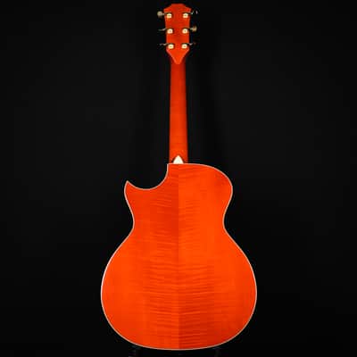 Taylor Doyle Dykes Signature Model w/ Sitka Spruce Top & Big Leaf Maple Back and Sides Acoustic/ Electric- Translucent Orange 2026 (1203066085) image 4