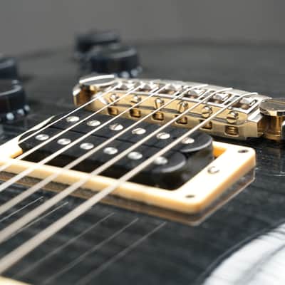 2008 – PRS SC250 - Black Flame image 16