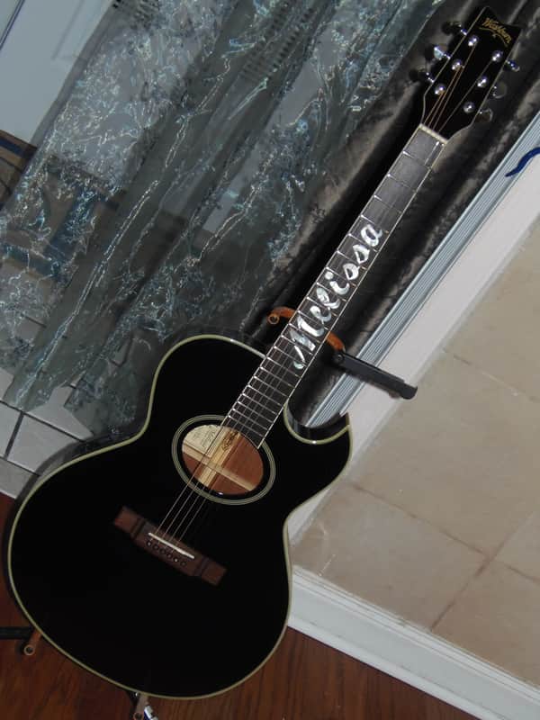 RARE! Washburn 