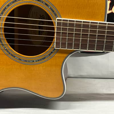 D'Angelico Excel Gramercy XT Acoustic Electric Guitar with Case image 7