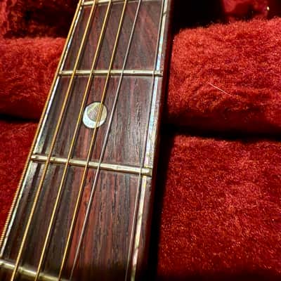 PRS Angelus Private Stock 2010 Steve Fischer image 12