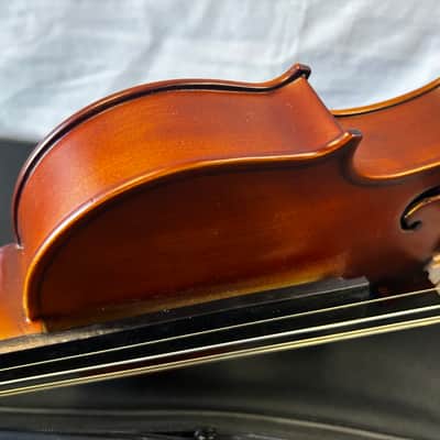 SofiaMari 310E 16 Viola image 18
