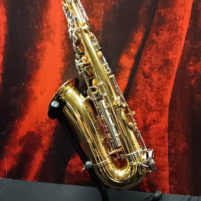 Giardinelli GAS-300 Alto Saxophone (White Plains, NY) image 3