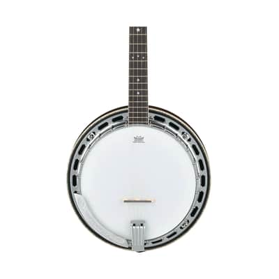 Ibanez Limited Edition BA250 250th Anniversary Banjo (Natural High Gloss) image 4