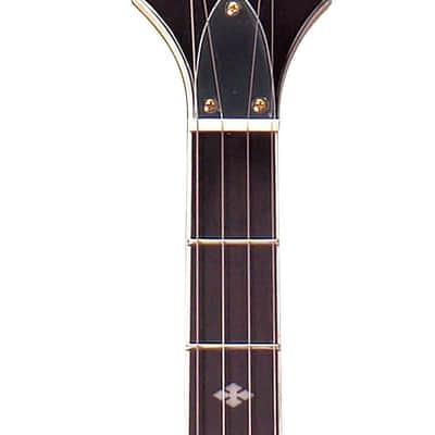 Gold Tone EBM-5/L Solid Body Maple Top & Neck F-Style 5-String Electric Banjo For Left Handed Players image 3