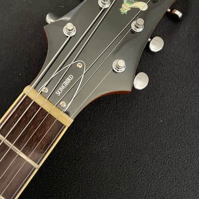 Peerless Songbird (Casino) Lindy Fralin P-90s image 4