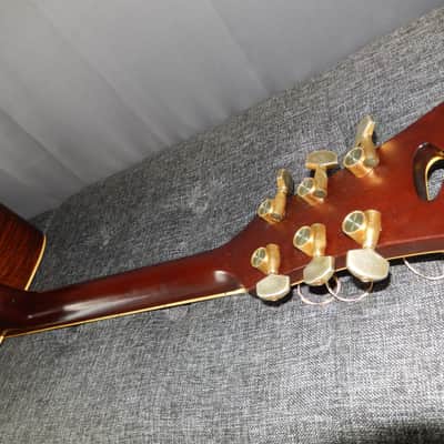 MADE IN JAPAN 1975 - YAMAKI B50 - SIMPLY AMAZING - WESTERN STYLE - ACOUSTIC GUITAR image 12