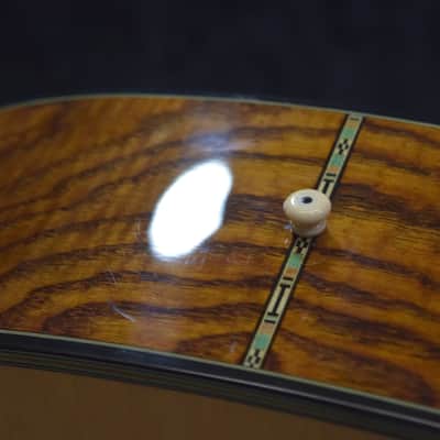 Washburn D46S12 Southwestern Series 12-String Acoustic Guitar w/Case #G05070031 image 17