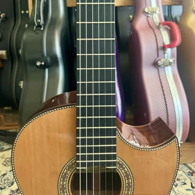 Juan Montes Rodríguez Flamenco 1ª Negra Exclusive Cutaway + LR Baggs Installed 2025 image 4