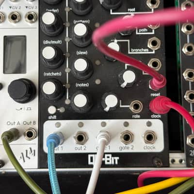 Qu-Bit Electronix Bloom | Reverb