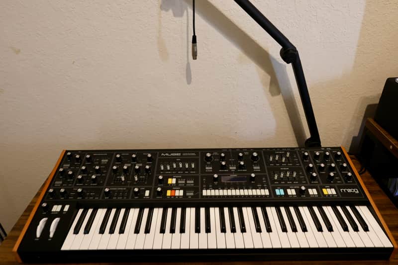 Moog Muse 8-Voice Analog Synthesizer 2024 - Present - Black image 1