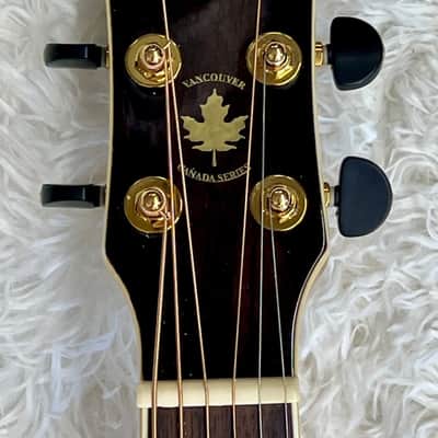 Tagima Canada Series Vancouver acoustic-electric guitar with hardshell case image 5
