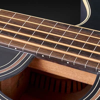 Warwick Alien Standard 5-String Acoustic Bass w/ Fishman Piezo System w/ Bag Solid Black Satin WAC1575 93PP SSA FR image 5