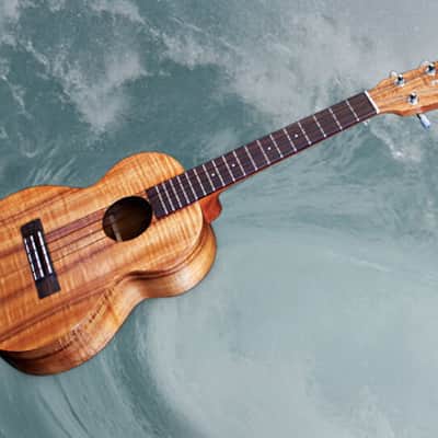 LR Baggs FIVE.O Ukulele Undersaddle Pickup image 2
