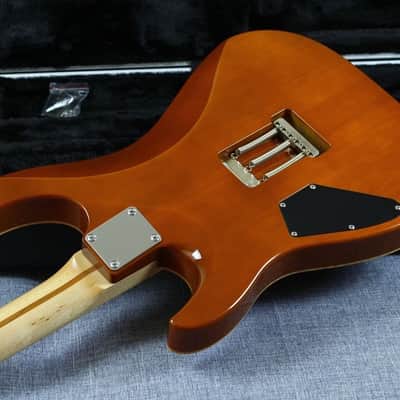 Lepsky S custom strat HSS image 5