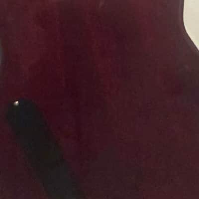 Gibson Explorer 2006 - Natural image 22