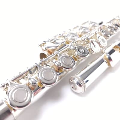 Refurbished Azumi AZ2 Altus Silver Head B Ft Open Hole Intermediate Flute image 6