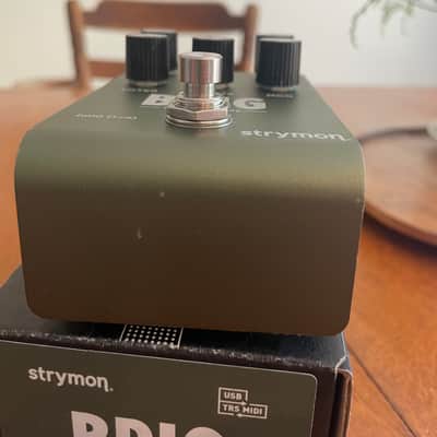 Strymon Brig dBucket Delay 2023 - Present - Green image 6
