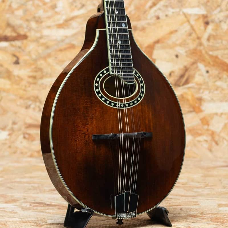 Eastman MD504 2022 imagen 1