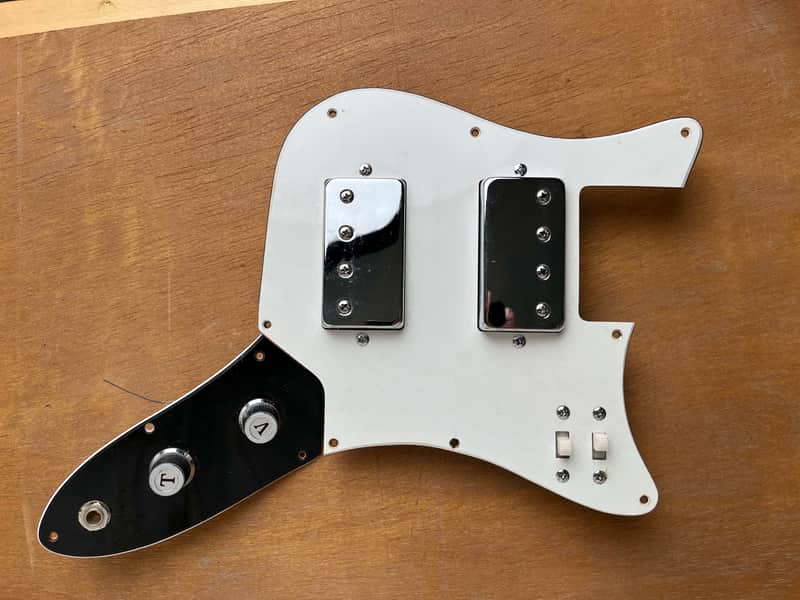 JAPAN C. G. Winner Les Paul Bass Loaded Pickguard 1960s image 1